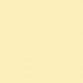 Панель глянец светло-желтый  P109 18*1220*2800 Kastamonu